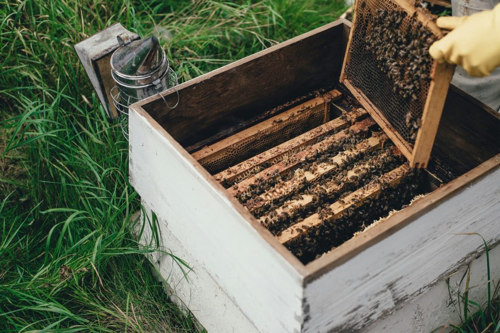 person removing a brown woooden artificial bee hive from a box